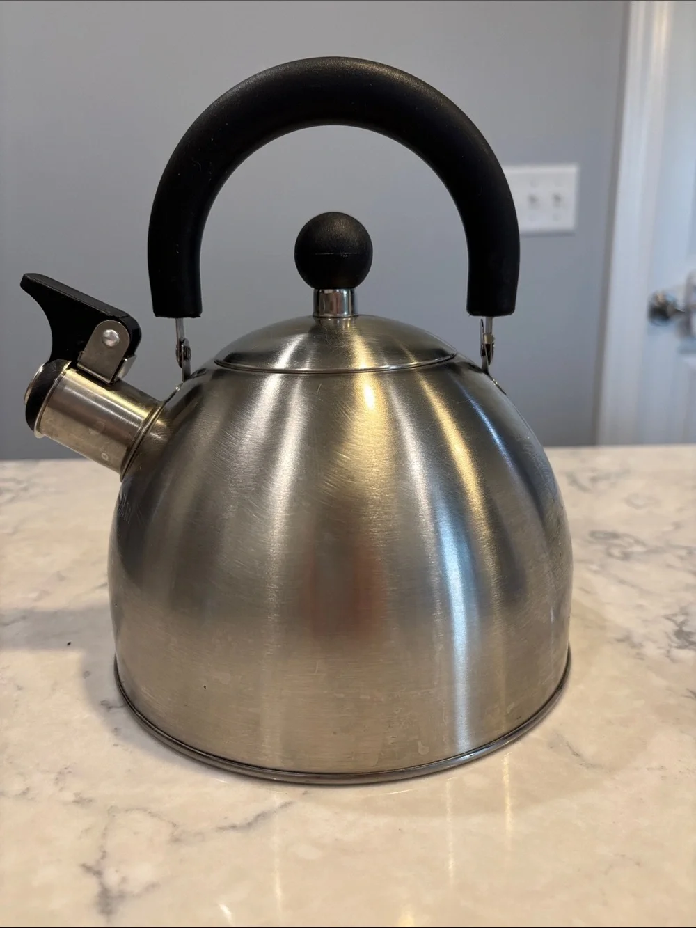 Stainless Steel Whistling Tea Kettle with Black Handle
